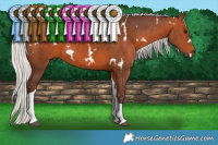 Horse Color:White Spotted Silver Brown Tobiano