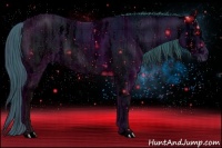 Horse Color:ERROR: UNKNOWN ANOMALY Brindle