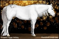Horse Color:Brown Ice Frame Appaloosa 