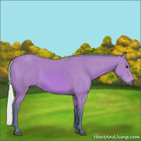 Horse Color:Watercolor Silver Bay