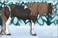 Horse Color:Liver Chestnut Splash Tobiano Rabicano