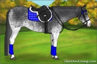 Horse Color:White Spotted Black 