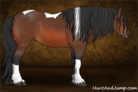 Horse Color:Bay Tobiano 