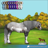 Horse Color:White Spotted Brown Frame Rabicano 