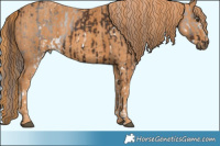 Horse Color:White Spotted Liver Chestnut  Brindle