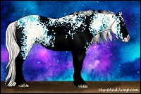 Horse Color:White Spotted Gold Cream Champagne Ice Pearl Dun 