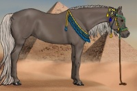Horse Color:Silver Black 