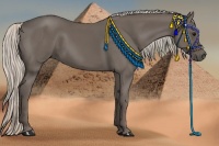 Horse Color:Silver Black 