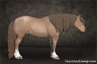 Horse Color:Black Pearl Sabino