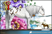 Horse Color:Buckskin Blanket  Brindle
