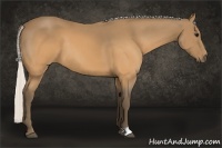 Horse Color:Silver Buckskin 