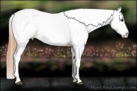 Horse Color:Buckskin Tobiano Near Fewspot