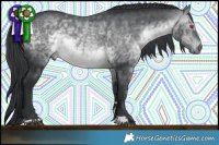 Horse Color:Brown Chinchilla Rabicano