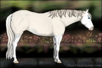 Horse Color:Perlino Roan Dun Splash 