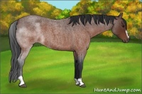 Horse Color:Brown Roan Sabino 