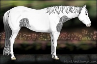 Horse Color:Smoky Black Ice Splash Tobiano