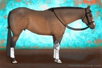 Horse Color:Buckskin Frame 