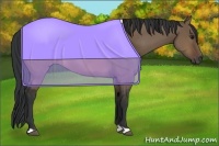Horse Color:Brown Dun 