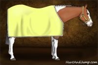 Horse Color:Bay Splash Tobiano 