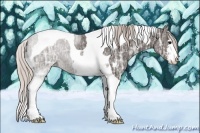 Horse Color:Silver Black Ice Sabino Tobiano 