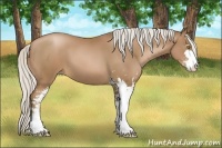 Horse Color:Silver Brown Pearl Sabino 