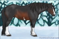 Horse Color:White Spotted Brown