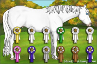 Horse Color:Gray Perlino Splash