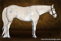 Horse Color:Smoky Creme Sabino 