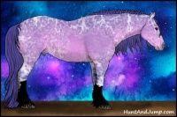 Horse Color:Watercolor Buckskin Ice 