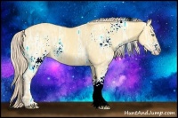 Horse Color:White Spotted Gold Cream Champagne Ice Dun 