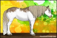 Horse Color:White Spotted Liver Chestnut Splash Frame Rabicano