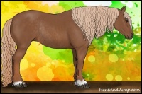 Horse Color:Chestnut Rabicano 