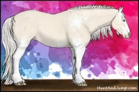Horse Color:White Spotted Cremello Rabicano