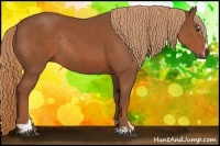Horse Color:Chestnut Sabino Rabicano