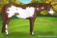 Horse Color:Chestnut Frame