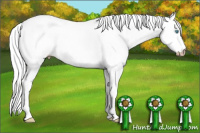 Horse Color:Gray Perlino 