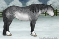 Horse Color:Brown Chinchilla Rabicano