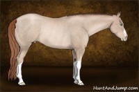 Horse Color:Smoky Black Pearl Rabicano