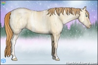 Horse Color:Gold Champagne Ice Pearl Dun 