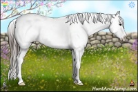 Horse Color:Brown Appaloosa 