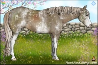 Horse Color:White Spotted Chocolate Palomino 