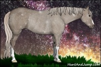 Horse Color:Silver Grullo Rabicano 