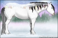 Horse Color:Bay Ice Roan Dun Splash Frame Rabicano