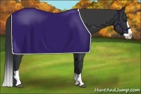 Horse Color:Black Splash