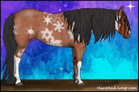 Horse Color:Bay Ice Roan 