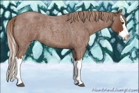 Horse Color:Red Roan Splash 