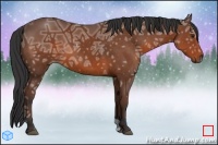 Horse Color:Bay Ice 
