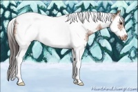 Horse Color:Bay Splash Tobiano Frame Appaloosa Rabicano