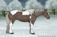 Horse Color:Silver Black Sabino Tobiano 