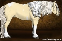 Horse Color:Palomino Dun Tobiano